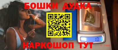 сатива Новокубанск