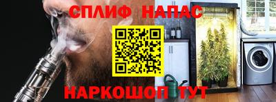 сатива Новокубанск