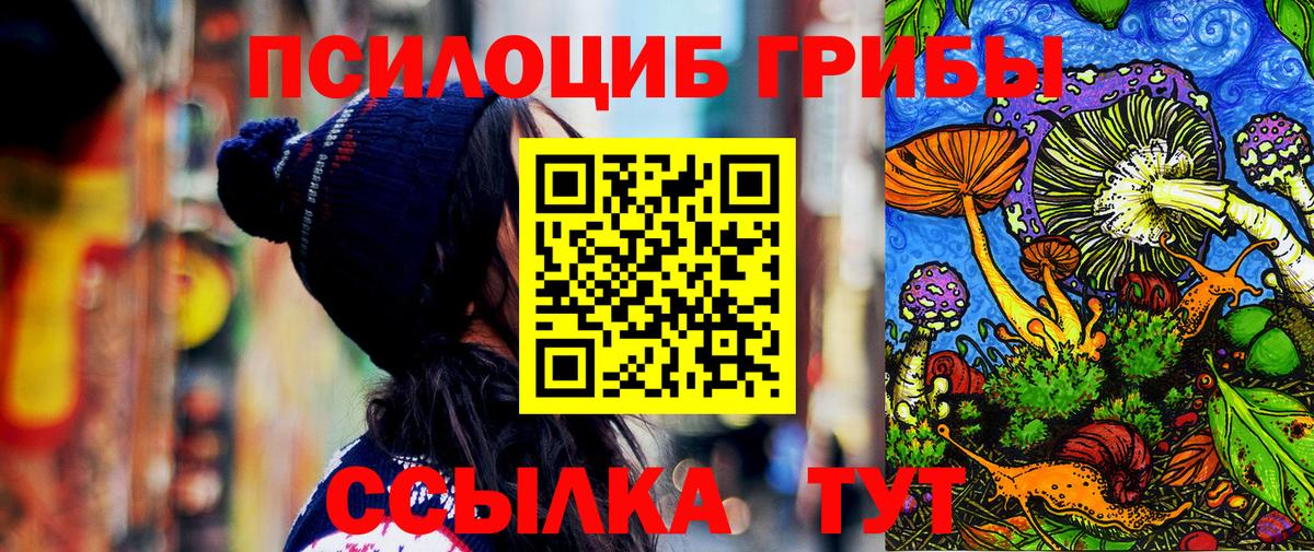 Псилоцибиновые грибы прущие грибы  Вход с VPN  купить   Северобайкальск 