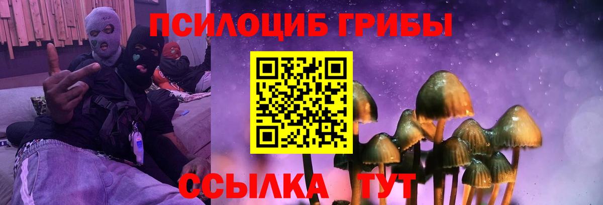 Галлюциногенные грибы прущие грибы Северобайкальск
